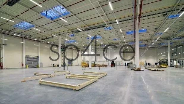 PANATONII - Magazyn, Hala - Opole , 21000 m