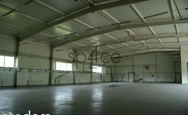 Warszawa Lomianki - Hala. Magazyn - 1000 m 2