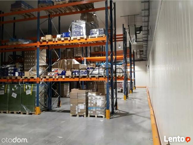 Hala. Magazyn 1200 m2 - OLSZTYN