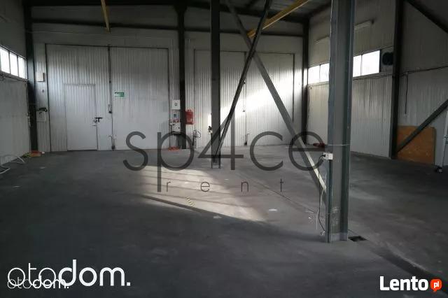 Wynajmę Magazyn . Hale - 600m2 - Warszawa + biura