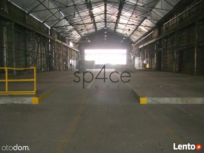 Hala, suwnica 16 t - TYCHY , Sosnowiec, Katowice