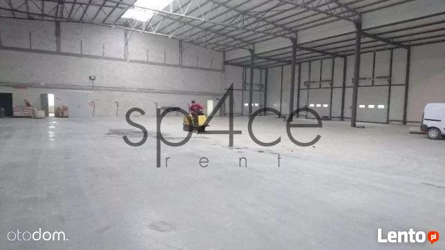 BEZPOSREDNIO - Hala/Magazyn , 1490 m², Dęblin