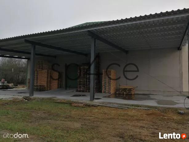 BEZPOSREDNIO - Hala/Magazyn , 1490 m², Dęblin