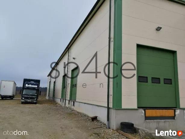 BEZPOSREDNIO - Hala/Magazyn , 1490 m², Dęblin
