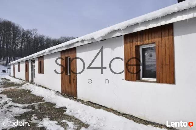 Hala / Magazyn , 1000 m², Przemyśl