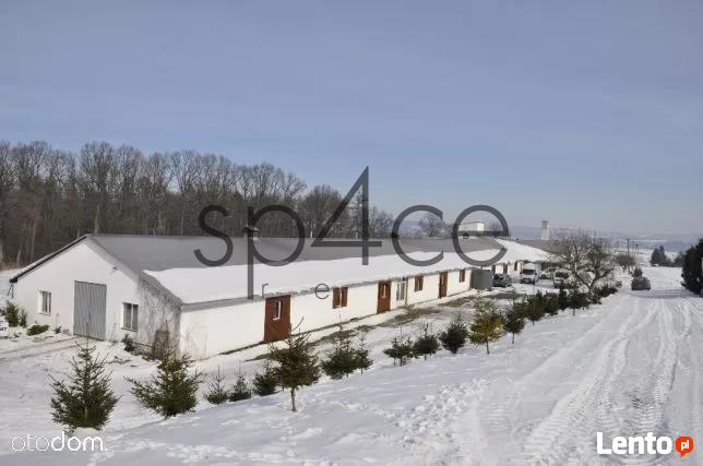 Hala / Magazyn , 1000 m², Przemyśl