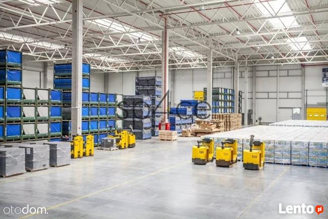 GLIWICE - 1000 m2, 2000 m2, 3000 m2. oraz 8000 m2