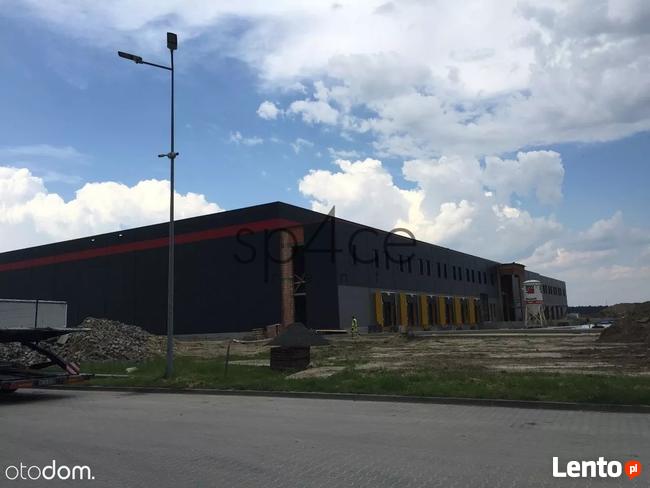 Hala/Magazyn , 3400 m², TYCHY , Ledziny