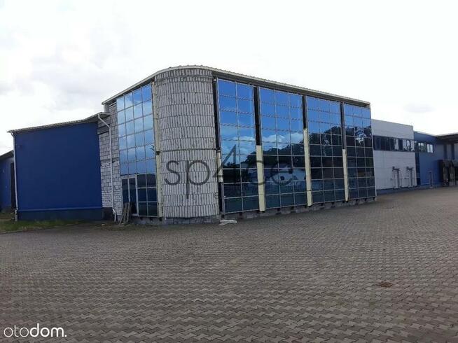 bezpośrednio - WARSZAWA - Magazyn, Hala - 4800 m