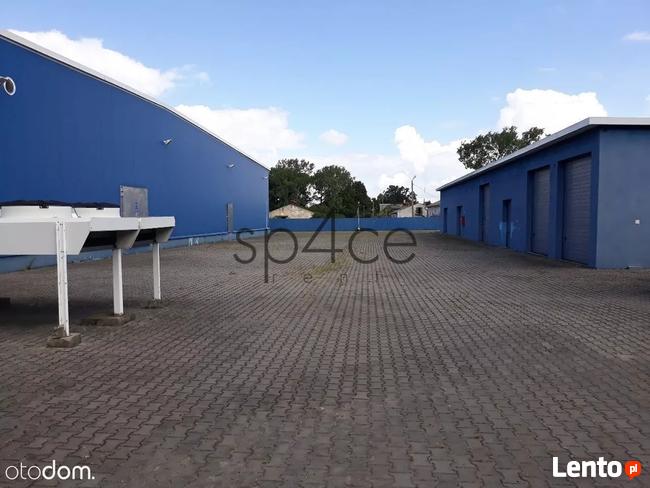 bezpośrednio - WARSZAWA - Magazyn, Hala - 4800 m