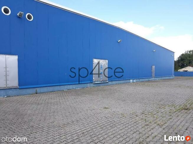 bezpośrednio - WARSZAWA - Magazyn, Hala - 4800 m