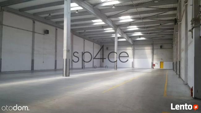 Magazyn / Hala - OKAZJA . za pół ceny !!