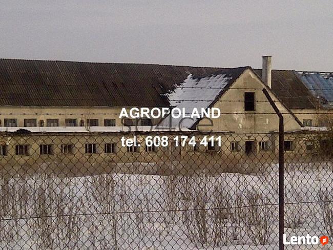 Pracujące GOSPODARSTWO ROLNE. - 700 ha