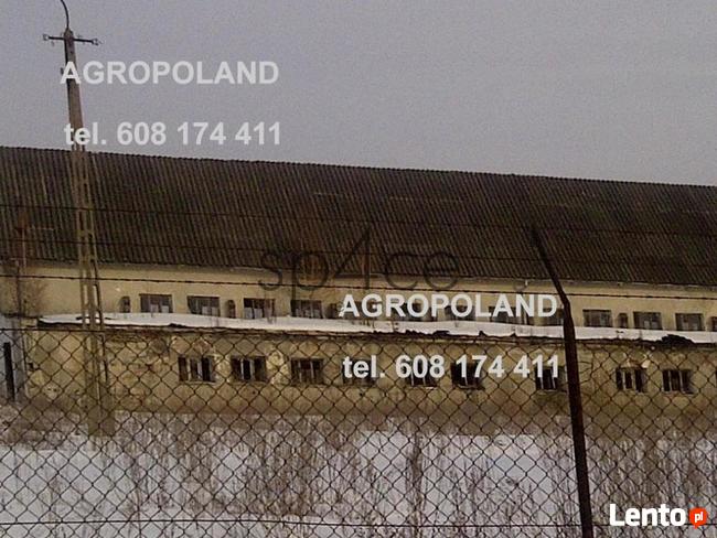 Pracujące GOSPODARSTWO ROLNE. - 700 ha