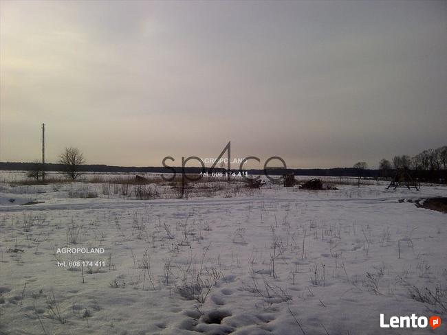 Pracujące GOSPODARSTWO ROLNE. - 700 ha