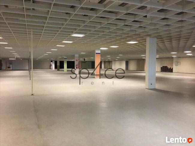 LOMIANKI - 10.000 m2. Rozrywka . Uslugi . KOMPLEKS