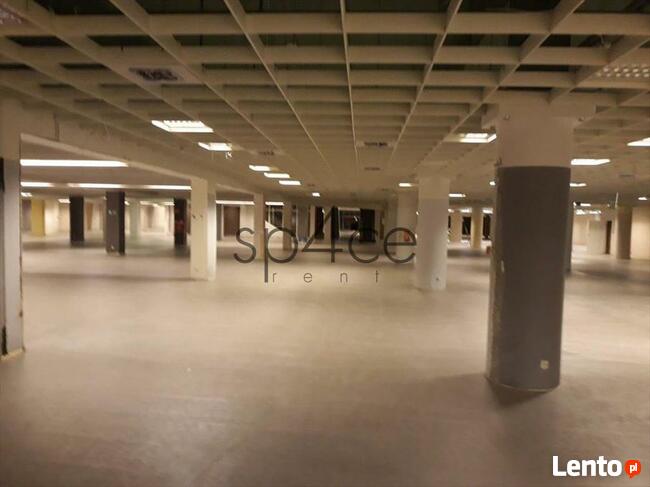 LOMIANKI - 10.000 m2. Rozrywka . Uslugi . KOMPLEKS