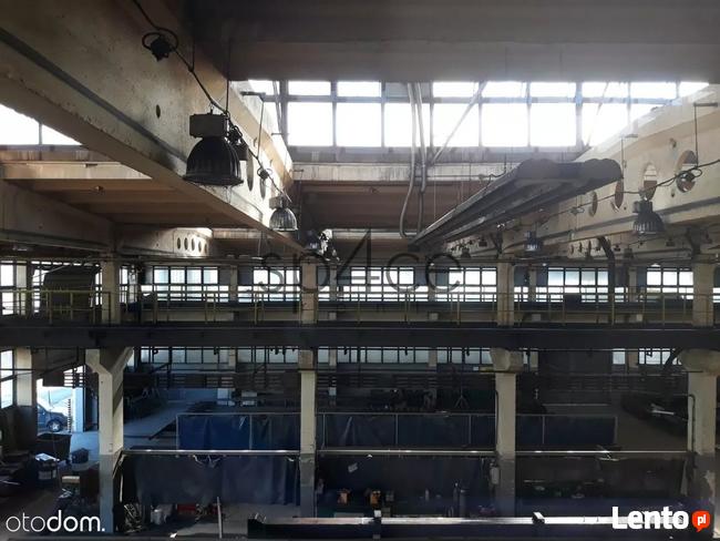 BYDGOSZCZ magazyn 3000 m2 - Hala . ogrzewana