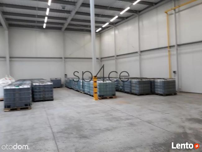 SULEJOWEK magazyn / hala produkcyjna - 1200 m2