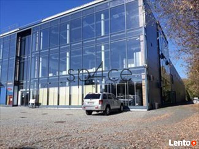 LOMIANKI - 5000 m2. Rozrywka . Uslugi .