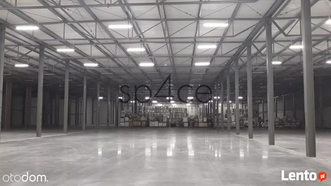 TORUN 3200 m2 - Wynajme Hala Magazyn