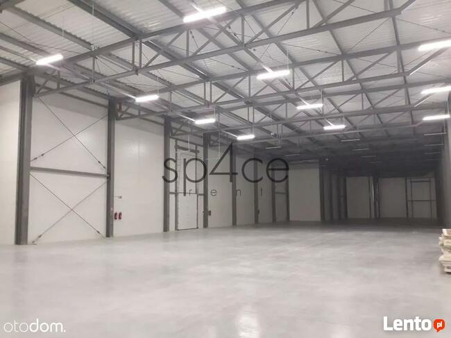 TORUN 3200 m2 - Wynajme Hala Magazyn