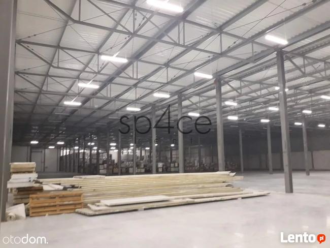 TORUN 3200 m2 - Wynajme Hala Magazyn