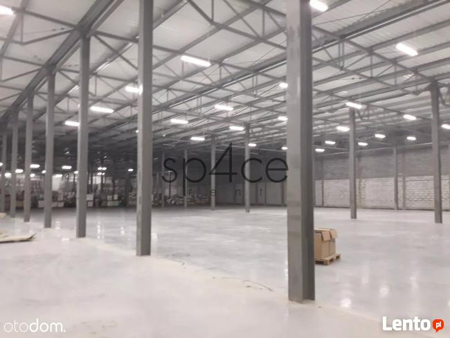 TORUN 3200 m2 - Wynajme Hala Magazyn
