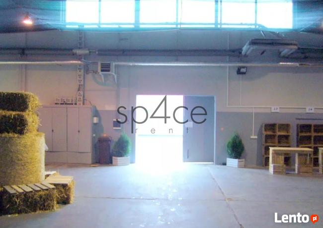 2800 m2 - Wynajme Hala Magazyn
