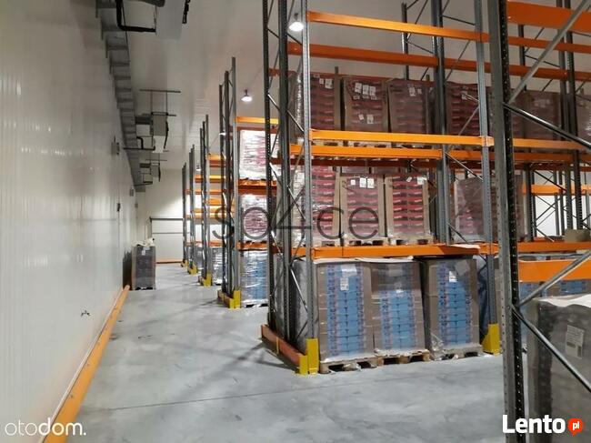 Chłodnia do wynajęcia - Marki Warszawa 2000 m2