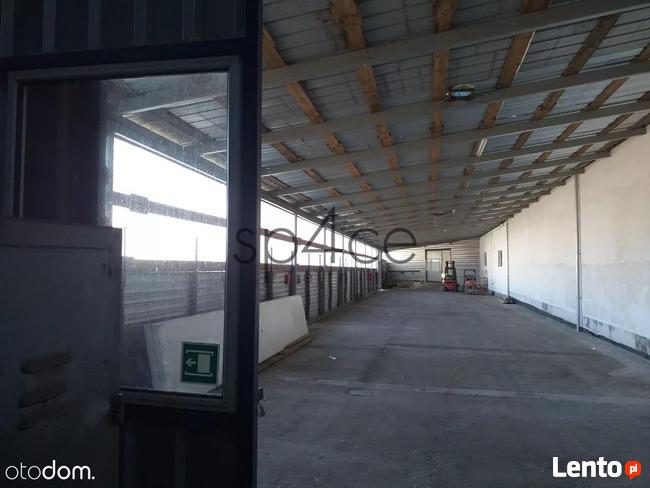 ZYRARDOW okolice - 1190 m2 - bezposrednio .