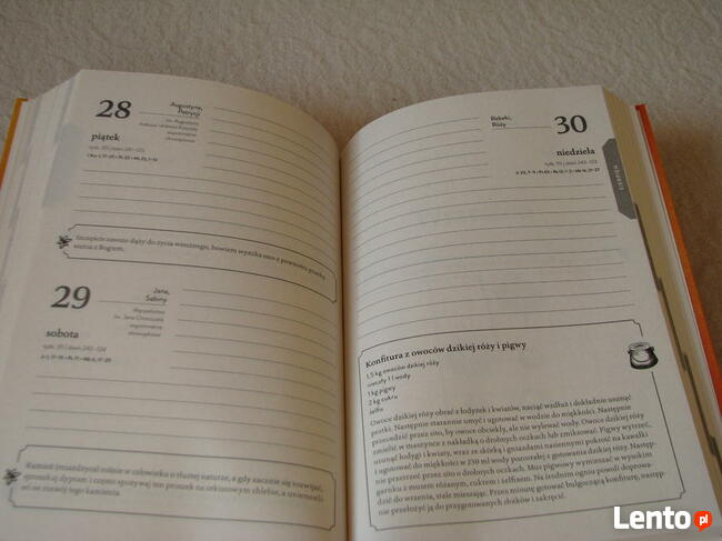 Kalendarz książkowy Rok ze Świętą Hildegardą na 2020 rok