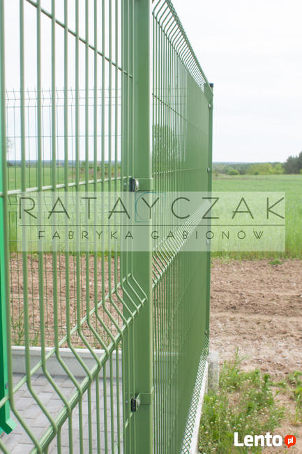 Ogrodzenie panelowe 1,23 ocynk+ RAL