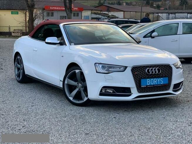 Samochody Audi S5 Auta Poleasingowe Nowe I Używane Audi S5
