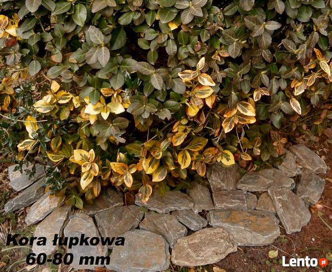 Kora kamienna, kora ozdobna, kora łupkowa