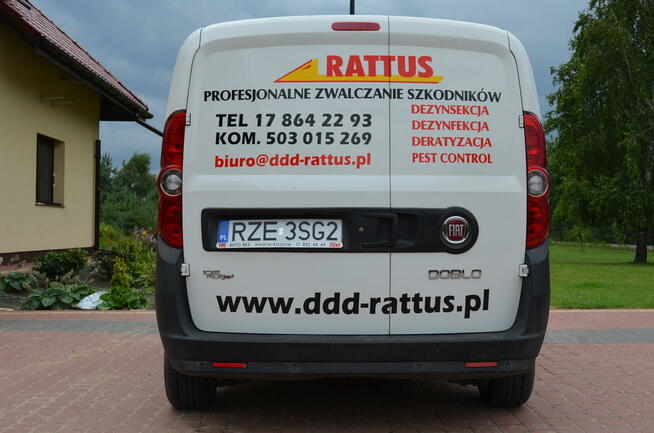 DEZYNFEKCJA Pomieszczeń Usługi ODKAŻANIA Zwalczania Rzeszów