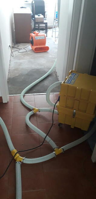 Osuszanie odgrzybianie ozonowanie odkażanie dezynfekcja