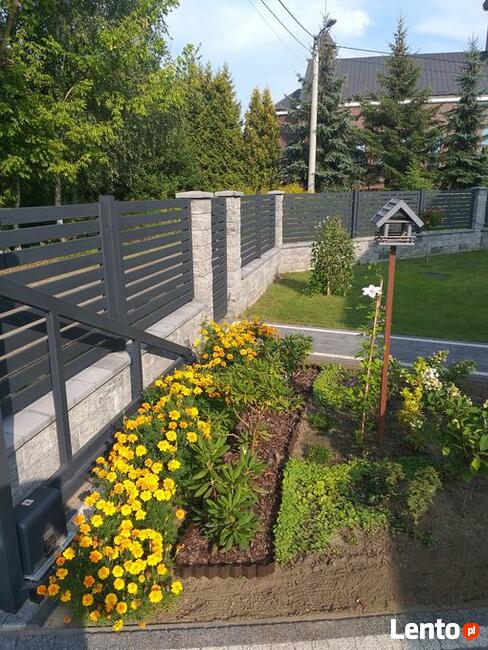 Montaż ogrodzeń panelowych