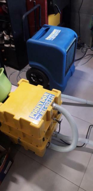 Osuszanie odgrzybianie ozonowanie odkażanie dezynfekcja