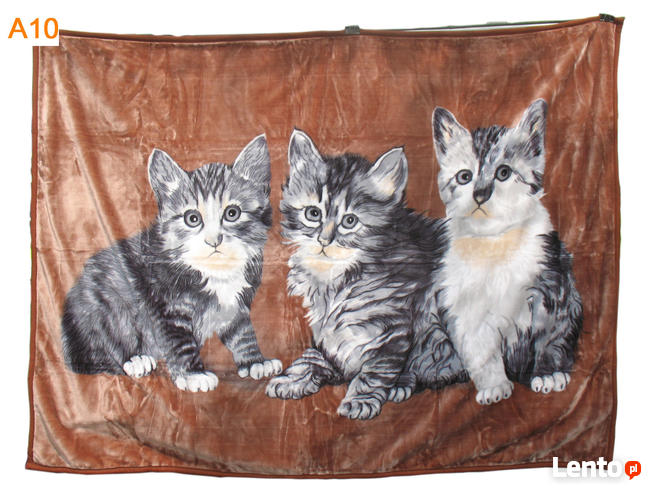 Nowe koce Elway różne wzory motyw zwierzęta