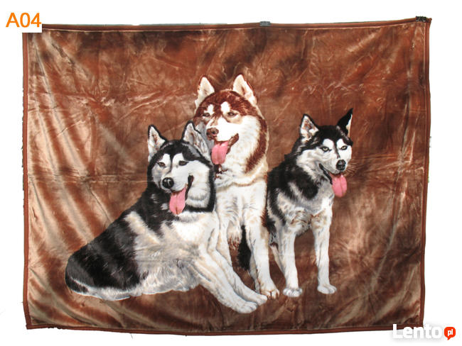 Nowe koce Elway różne wzory motyw zwierzęta