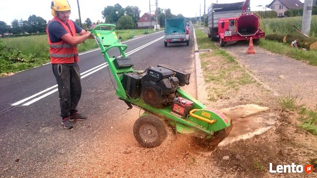 Wycinka drzew z podnosnika /metoda alpinistyczna