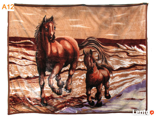 Nowe koce Elway różne wzory motyw zwierzęta