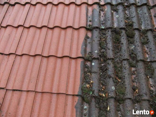 MYCIE I KONSERWACJA DACHÓW (mycie dachów, malowanie dachów))