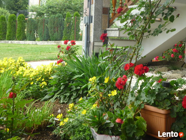 Wycieczki Pieniny- Dom Wczasowy Kazik zaprasza!