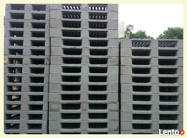 H1, E2, haki mięsne używane w dużych ilościach, stałe dostaw