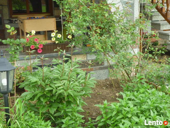Noclegi-Pieniny jezioro Czorsztyńskie -trasa rowerowa
