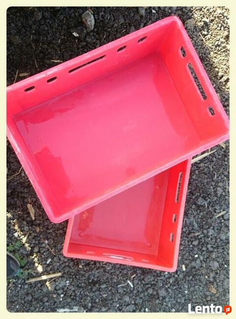 H1, E2, haki mięsne używane w dużych ilościach, stałe dostaw