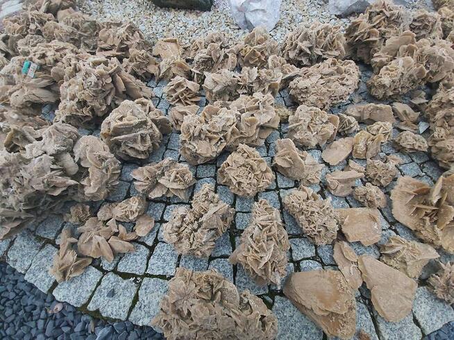 SKLEP OGRODNICZY PW IZBICCY KURIANY