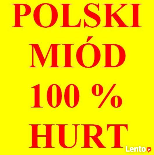 Miód dla pszczelarzy, odbiorców hurtowych. Polski 100%. HURT
